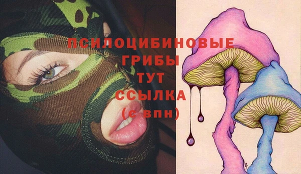 прущие крисы Бородино