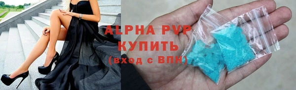 прущие крисы Бородино