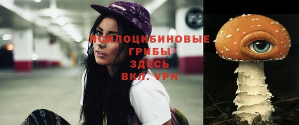 прущие крисы Бородино