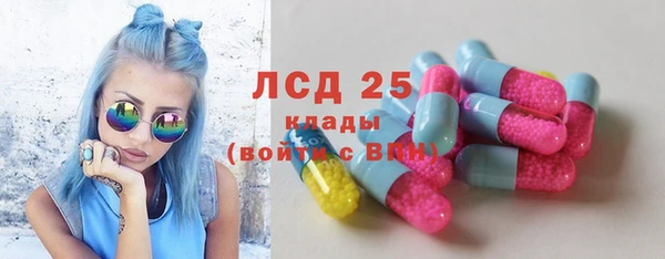 прущие крисы Бородино