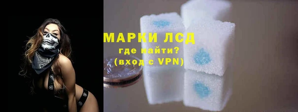 ПСИЛОЦИБИНОВЫЕ ГРИБЫ Березники