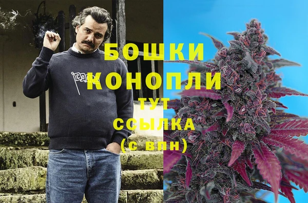 прущие крисы Бородино