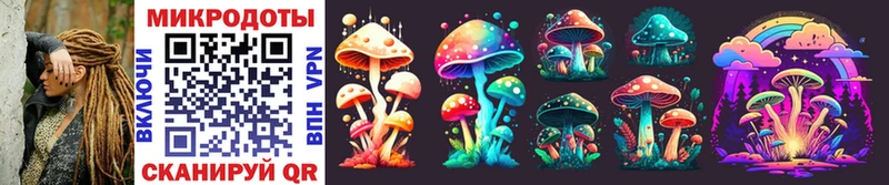 Галлюциногенные грибы Psilocybine cubensis  Вихоревка 